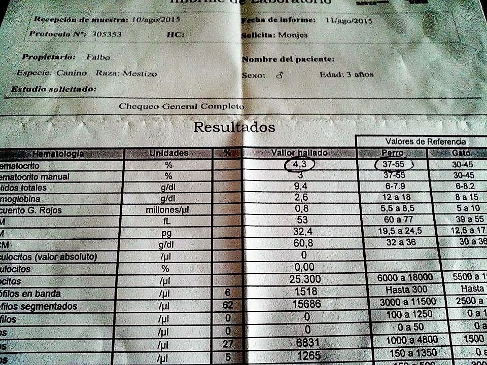 Informe de laboratorio de Scuby, documento original escaneado